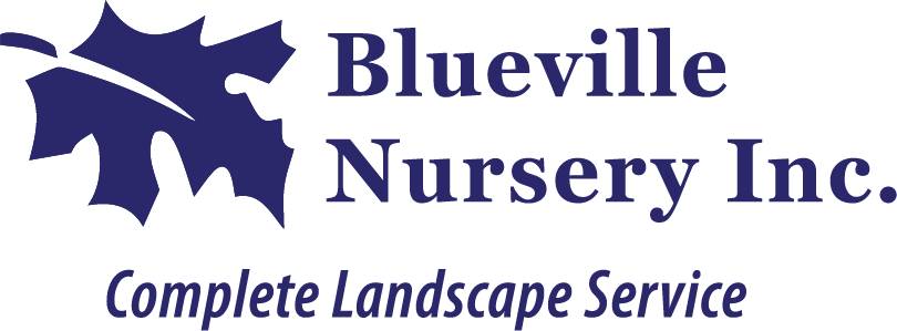 Blueville