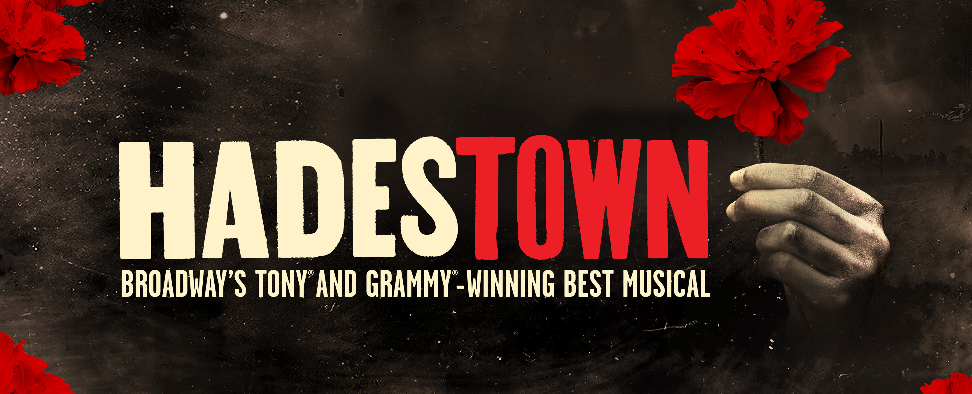 McCain Performance Series